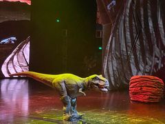 -重庆国际马戏城