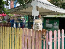 -萌宠亲子动物乐园(槐房万达店)