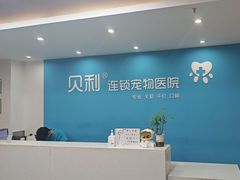 -贝利宠物医院·骨科·眼科·肿瘤转诊中心(南坪诊疗中心)
