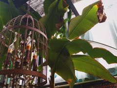 -茉莉花园咖啡(惠民路店)