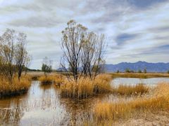 -野鸭湖国家湿地公园