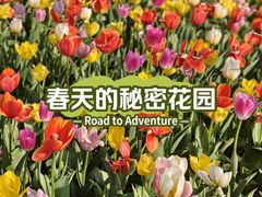 -圩墩遗址公园