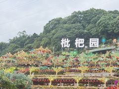 -枇杷园食为鲜火锅(南山店)