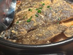 -人间酒暖·Go blanc·烧鸟·深夜食堂(陆家嘴店)