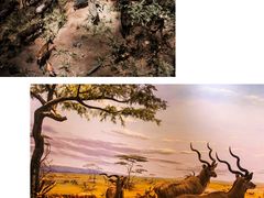 -上海市龙华烈士陵园