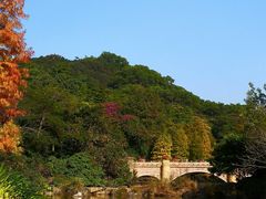 -云溪植物园