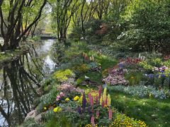 -上海共青森林公园