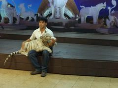 -清迈夜间动物园