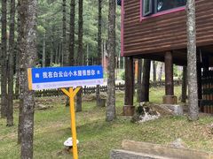 -洛阳白云山景区