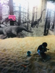 -恐龙探索乐园(磁器口店)