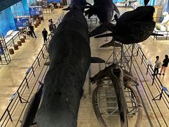 -大连自然博物馆·地球展厅
