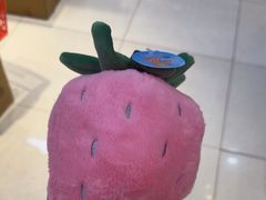 -可爱抓 COCO  GOTCHA(天津鹏欣水游城店)