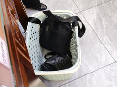 -百年老字号·观振兴蟹黄面·三虾面·苏式面(观前街富仁坊巷店)