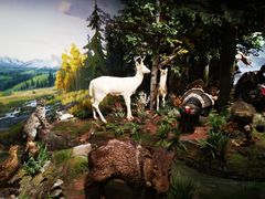 -陕西自然博物馆