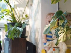 -孟林厨房(798店)