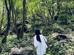 -叠溪松坪沟景区