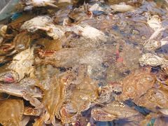 -集品鲜湾·蒸汽海鲜自助料理(青岛银座和谐广场店)