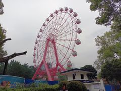 -柳州市动物园