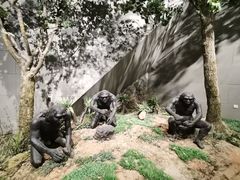 -北京周口店北京人遗址博物馆