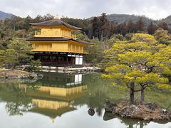 -豆政(金閣寺境内売店)