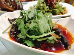 -古田会·肥肠鸡(古田店)