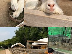 -圣露庄园·露营·烤肉·亲子