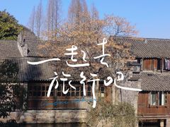 -乌镇西栅景区
