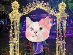 -枫花园汽车电影院(朝阳公园店)