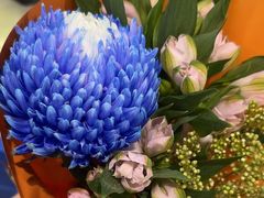 -弗劳尔花艺坊(龙涛店)