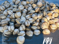 -启东黄金海滩景区