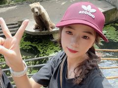 -贵州森林野生动物园