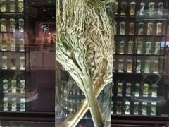 -广东中医药博物馆