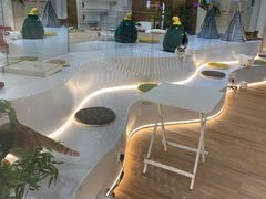 -COLOR PETS 撸猫馆·购猫·猫咖(长风大悦城店)