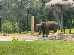 -北京野生动物园