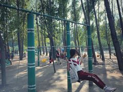 -东方巨龟苑景区