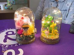 -湖畔阳光月子中心(泰达会馆店)