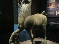 -广西壮族自治区博物馆