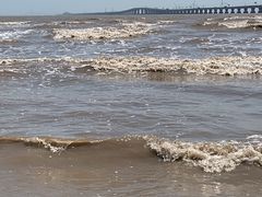 -南汇新城海滩