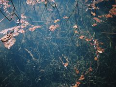 -苏堤停车场