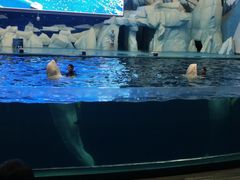 -福州罗源湾海洋世界旅游区