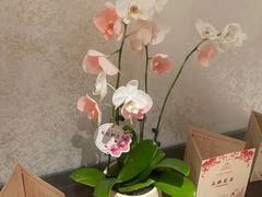 -听松楼·花园酒店·自助餐厅(红梅公园店)