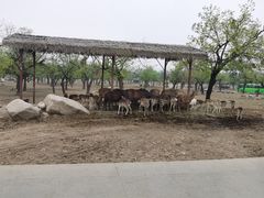 -西安秦岭野生动物园