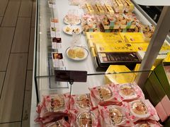 -蒲公英(五里店)