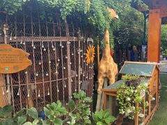-西西里轰趴日租聚会别墅·团建拓展