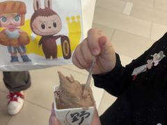 -野人先生现做冰淇淋(北京环宇荟店)