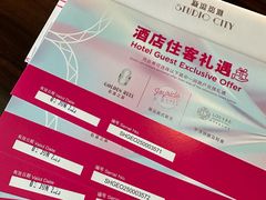 -影汇之星8字形摩天轮