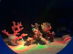 -欢乐海岸海洋奇梦馆