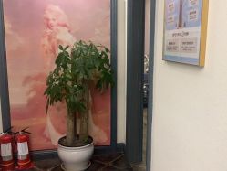 -静港气质医美
