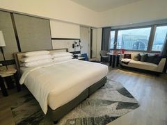 -新加坡乌节希尔顿酒店 (SG Clean)