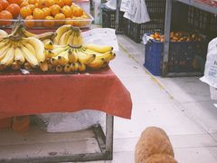 -逍遥镇刘相五胡辣汤豆沫馆(康复中街店)